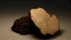 Truffles are desired for their unique "earthy" flavour and the smell they bring to food