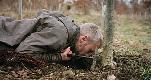 Dr. Paul Thomas in Financial Times article