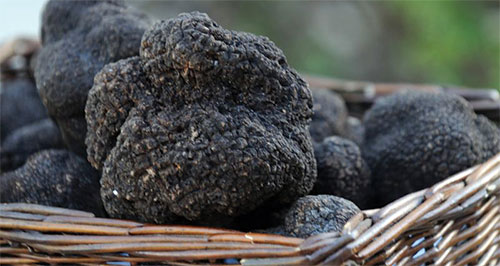 Black Truffles- Photo By: Janna Waldinger/Art & Clarity