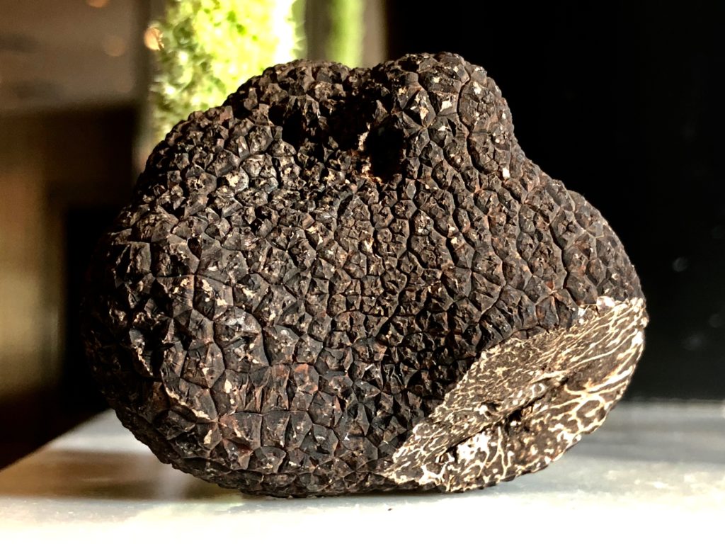 Big, sexy black truffle